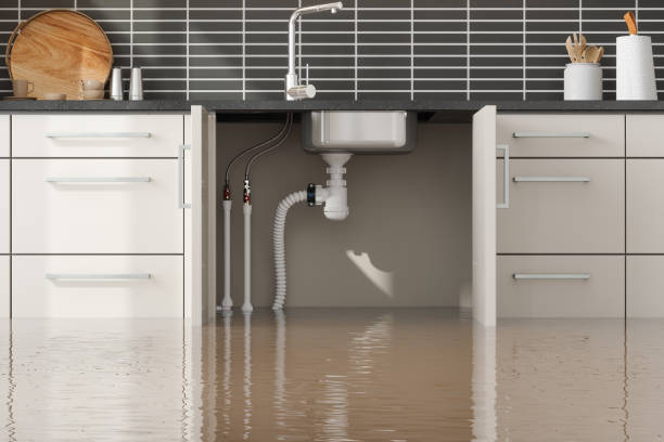 Best Crawl Space Water Damage Solutions in USA